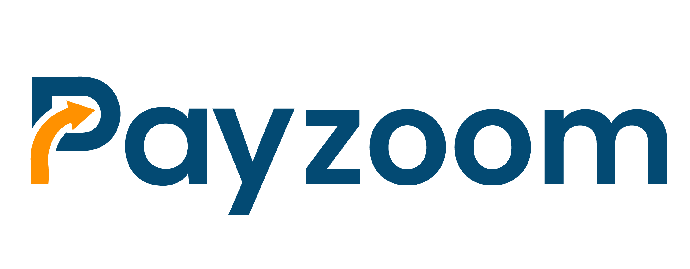 Payzoom Website 